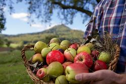 Copyright: www.natuerlich-mit-saft.de