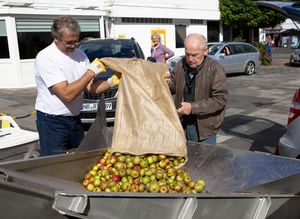 Apfelannahme bei Bad Hönninger